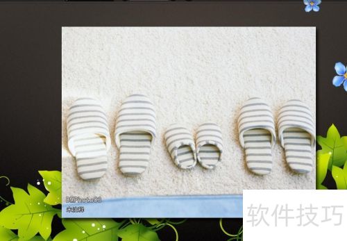 �����ʦ��ε�����Ƶ