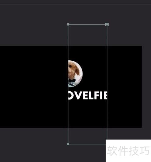 AE��������������Ч Particular���Ӳ��