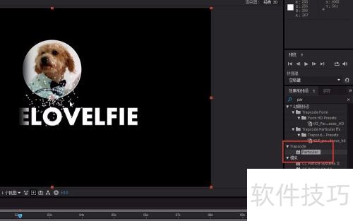 AE��������������Ч Particular���Ӳ��