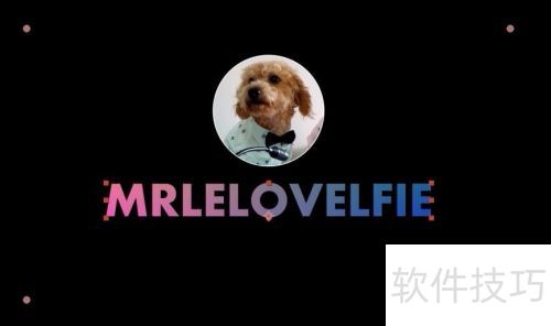 AE��������������Ч Particular���Ӳ��