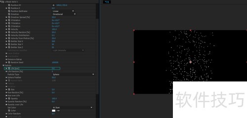 Particular������������