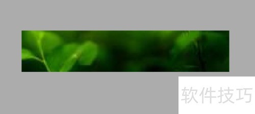 ͼ������500��100����̳�