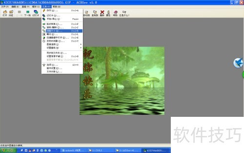 ACDSEE5.0����ͼƬ��С����