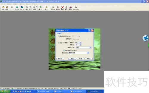 ACDSEE5.0����ͼƬ��С����
