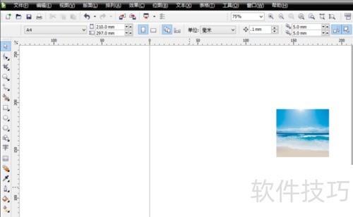 Coreldraw12�н�ͼƬ�ü�Ϊ��Ҫ��״