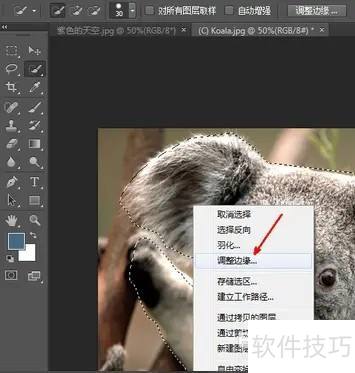 photoshop8.0ôͼ?