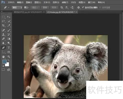 photoshop8.0ôͼ?