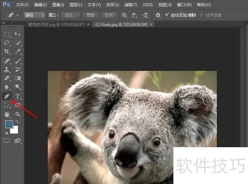 photoshop8.0ôͼ?