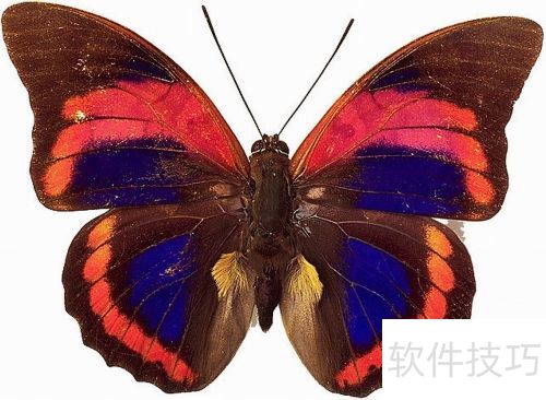 PhotoshopCS6��ô��������