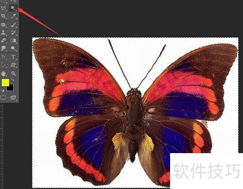 PhotoshopCS6��ô��������