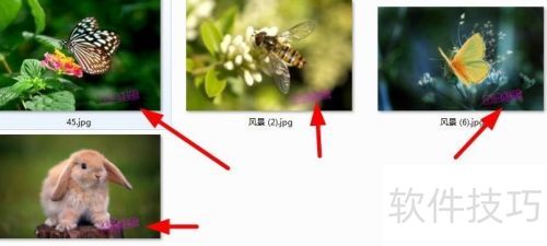 iseeͼƬר�ң�[37]��Ƭ���������ͼƬˮӡ