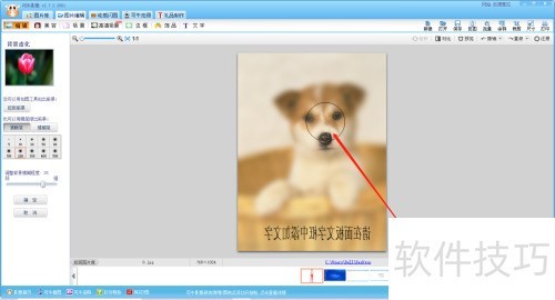 可牛影像如何使图片背景虚化? 可牛影像如何使图片背景虚化?