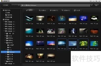 ��Ӱħ���ֲ�������