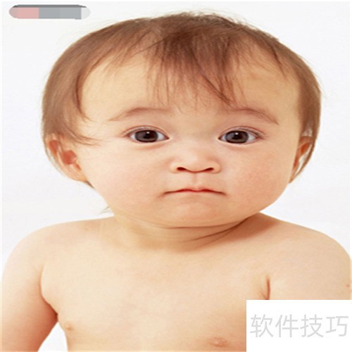 xnview��ô���Żõ�Ƭ�Ĳ�������