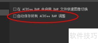 ACDSee自动保存所有ACDSee RAW调整怎样关闭 ACDSee自动保存所有ACDSee RAW调整怎样关闭