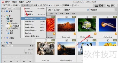acdsee��ô�� acdsee��ô�༭ͼƬ