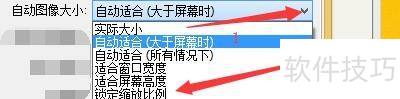 FastStoneViewer如何启用自动锁定缩放比例图像 FastStoneViewer如何启用自动锁定缩放比例图像