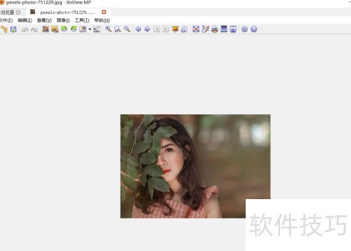 如何使用xnview的色调分离功能? 如何使用xnview的色调分离功能?