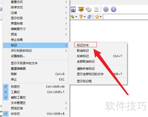 XnView在哪标记文件 XnView在哪标记文件