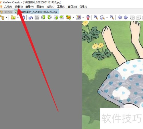 XnView在哪设置背景色 XnView在哪设置背景色