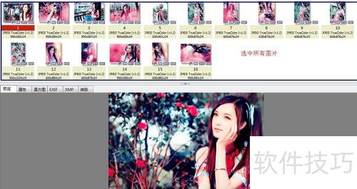 xnview如何播放幻灯片 xnview如何播放幻灯片