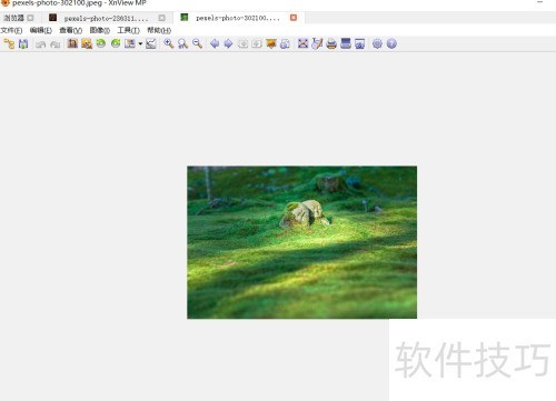 怎样设置xnview的IPTC? 怎样设置xnview的IPTC?
