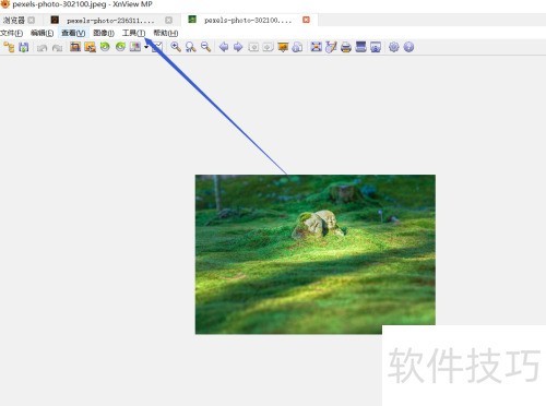 怎样设置xnview的IPTC? 怎样设置xnview的IPTC?