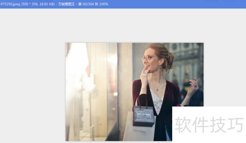 怎么设置万能看图王启用鸟瞰图? 怎么设置万能看图王启用鸟瞰图?
