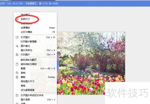 ���ʹ�����ܿ�ͼ����ʵ�ʳߴ繦�ܣ�