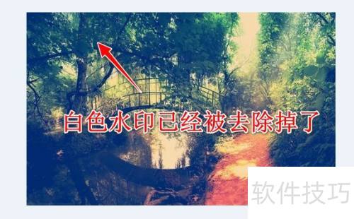 如何使用图图水印管家去除水印 如何使用图图水印管家去除水印