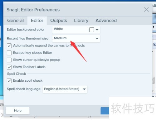 Snagit��ô����������ļ�����ͼ��СΪ��С