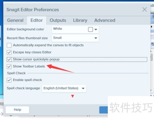 Snagit 2019 Editor怎么关闭显示工具栏标签 Snagit 2019 Editor怎么关闭显示工具栏标签