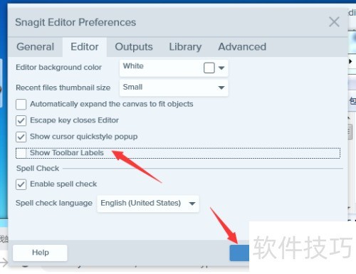 Snagit 2019 Editor怎么关闭显示工具栏标签 Snagit 2019 Editor怎么关闭显示工具栏标签