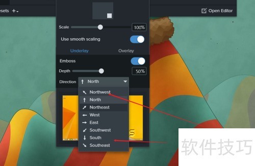 Snagit 2020 ������ͼͬʱ����ˮӡ��