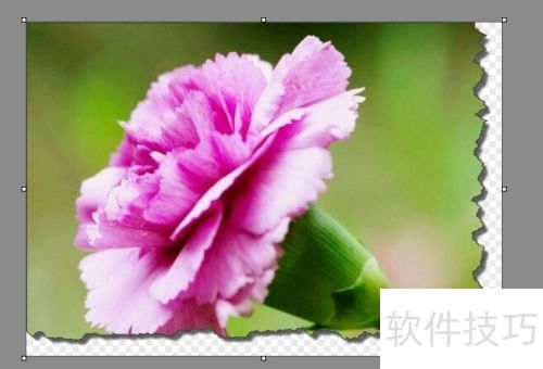 截图软件Snagit也能做撕边、卷边效果 截图软件Snagit也能做撕边、卷边效果