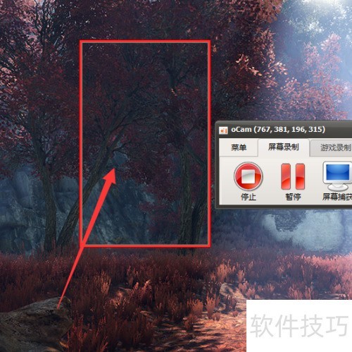 ocam���¼����Ƶ