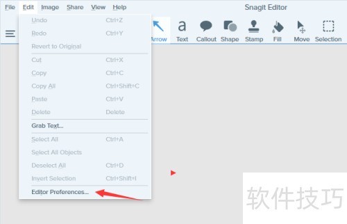 Snagit 2019 Editor怎么关闭启用拼写检查 Snagit 2019 Editor怎么关闭启用拼写检查