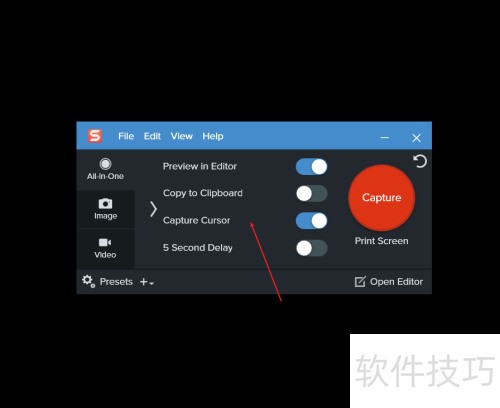 Snagit 2020��ȡͼƬʱ������ʾ��ꣿ