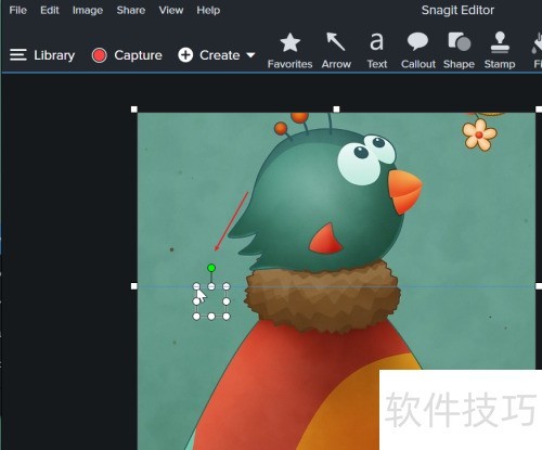 Snagit 2020��ȡͼƬʱ������ʾ��ꣿ