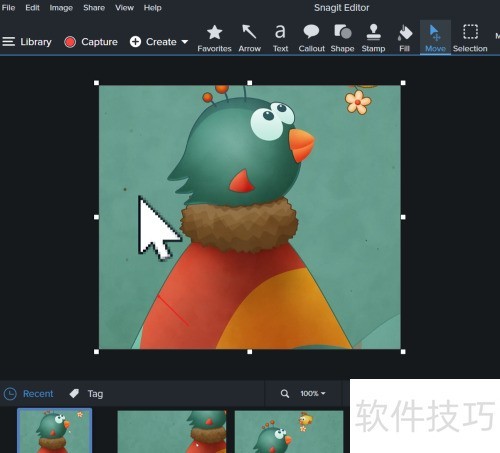 Snagit 2020��ȡͼƬʱ������ʾ��ꣿ
