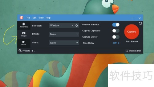 Snagit 2020�����÷ǻ����͸������