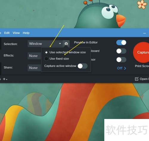 Snagit 2020�����÷ǻ����͸������