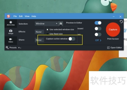 Snagit 2020�����÷ǻ����͸������