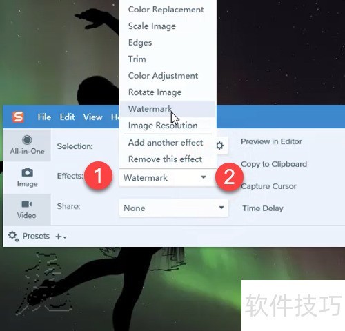 Snagit 2018�����Զ���ˮӡ��