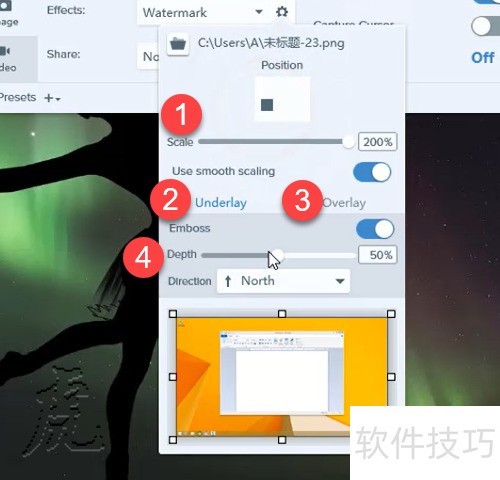 Snagit 2018�����Զ���ˮӡ��