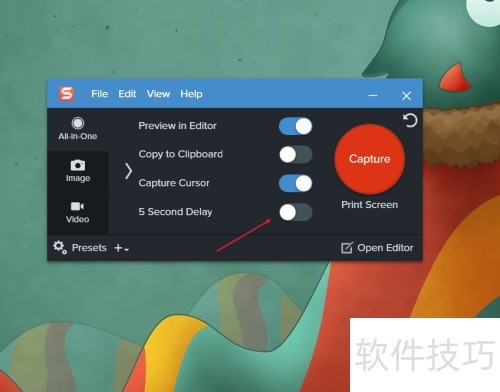 Snagit 2020 �����ӳٽ�ͼ?