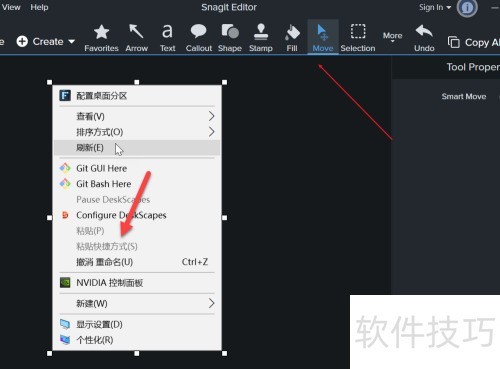 Snagit 2020 �����ӳٽ�ͼ?