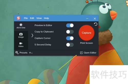 Snagit 2020�����༭��ͨͼƬ��