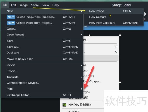 Snagit 2020�����༭��ͨͼƬ��