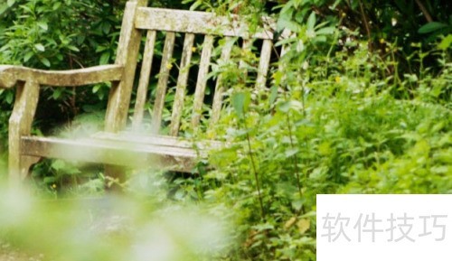 snagit软件怎么调整图片率等 snagit软件怎么调整图片率等